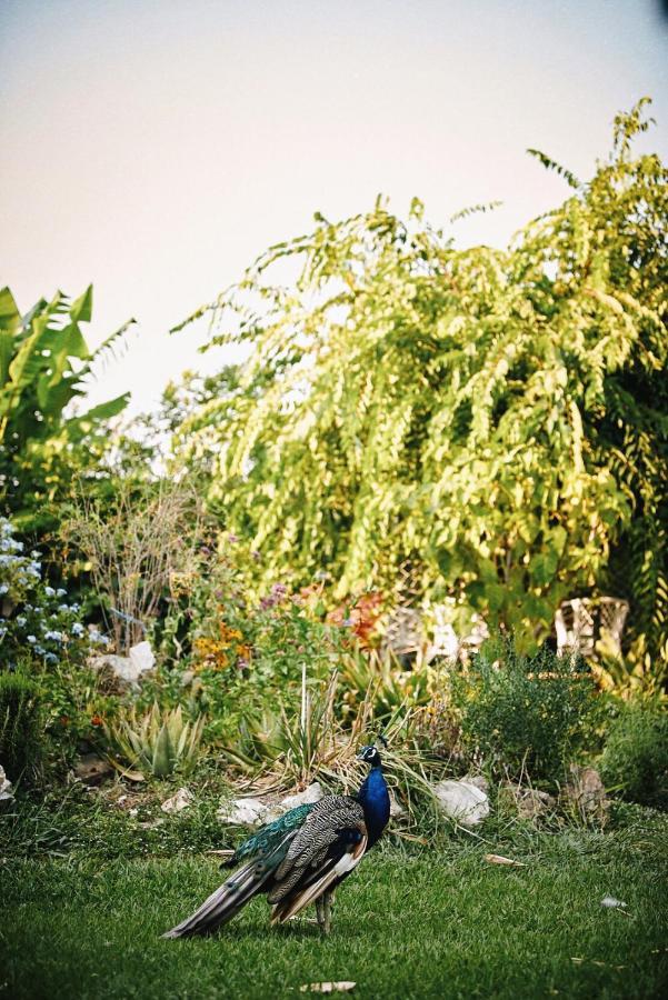 Villa The Artist'S Farm Dhiyellótika Exterior foto